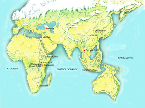 Världen under Homo erectus tid